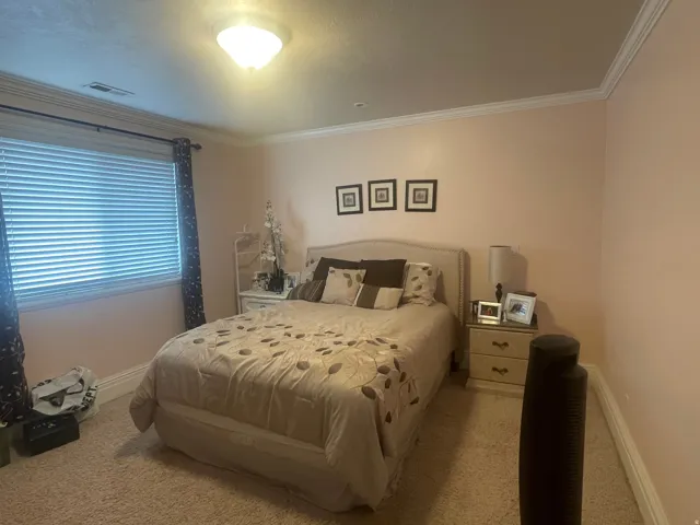 Carpeted room featuring a window with blinds, crown molding, and a flush mount ceiling light fixture