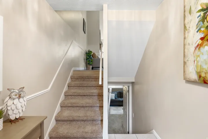 Entry and stairs to basement