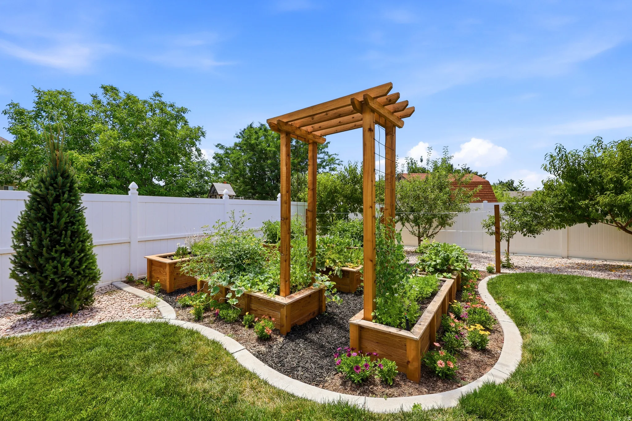 Landscaped backyard featuring multiple raised garden beds, a wooden pergola, and a manicured lawn