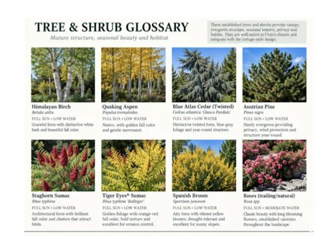 Tree & Shrub Glossary. Providing details on various plant species, their characteristics, and suitability for the property