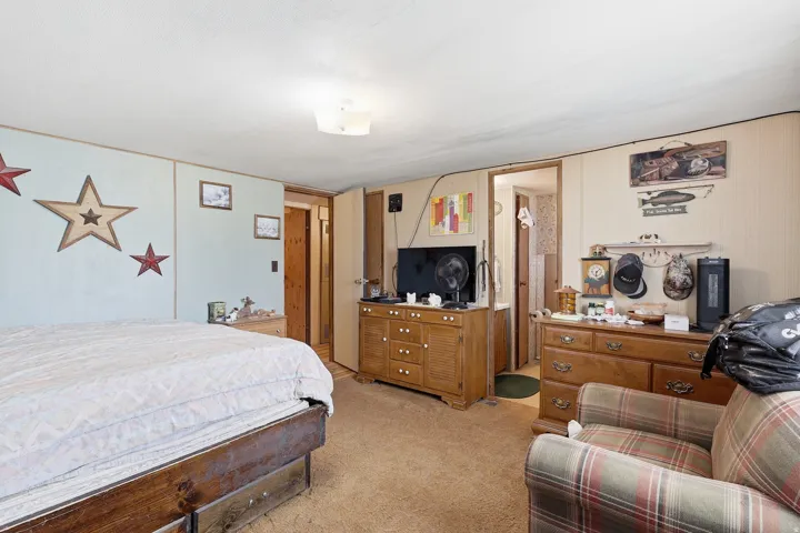 Interior room featuring wood-finish paneling, a flush-mount ceiling light, and carpet flooring