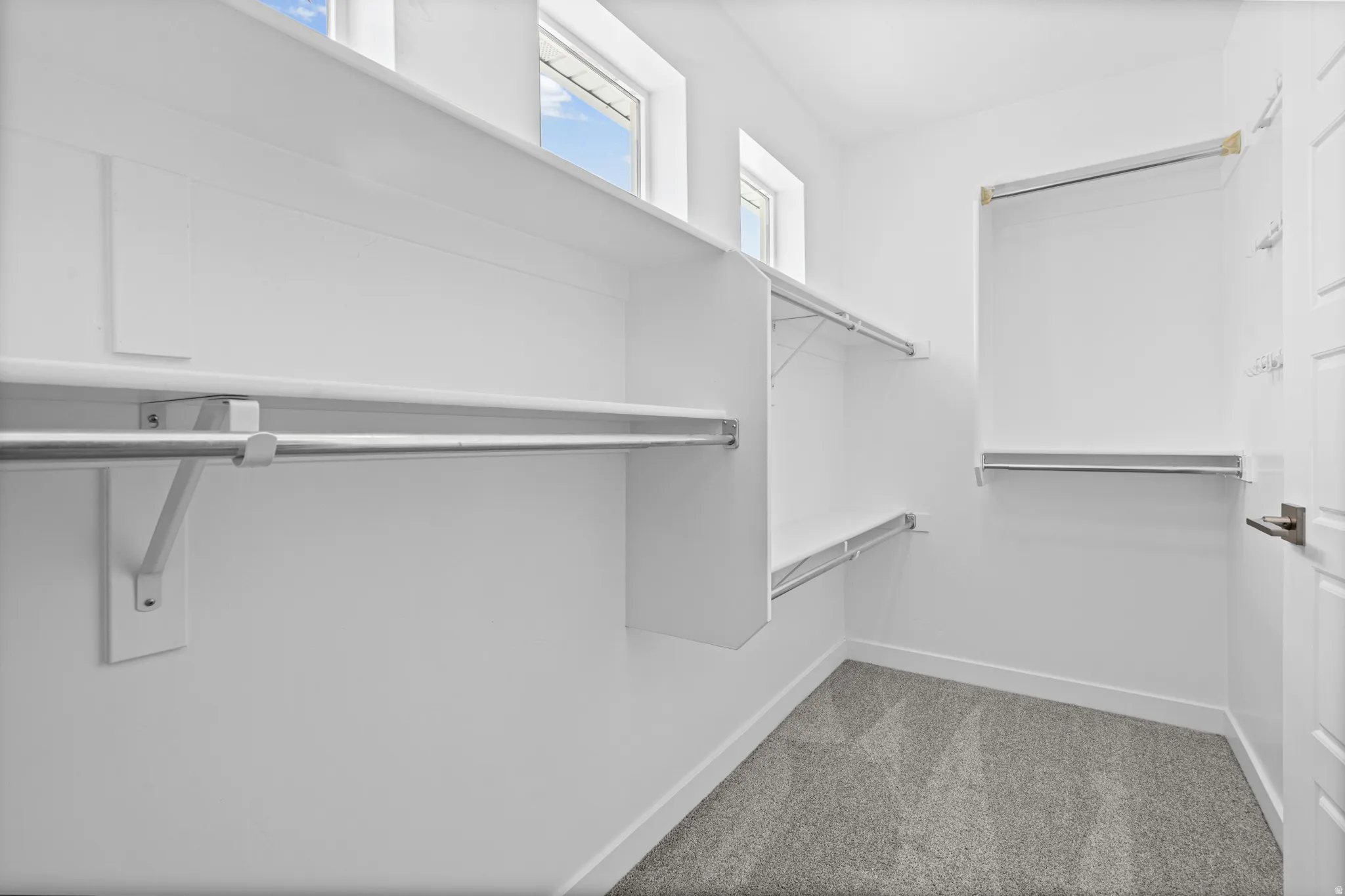 Bright walk-in closet featuring built-in white shelving, multiple hanging rods, two upper windows for natural light, and plush gray carpeting