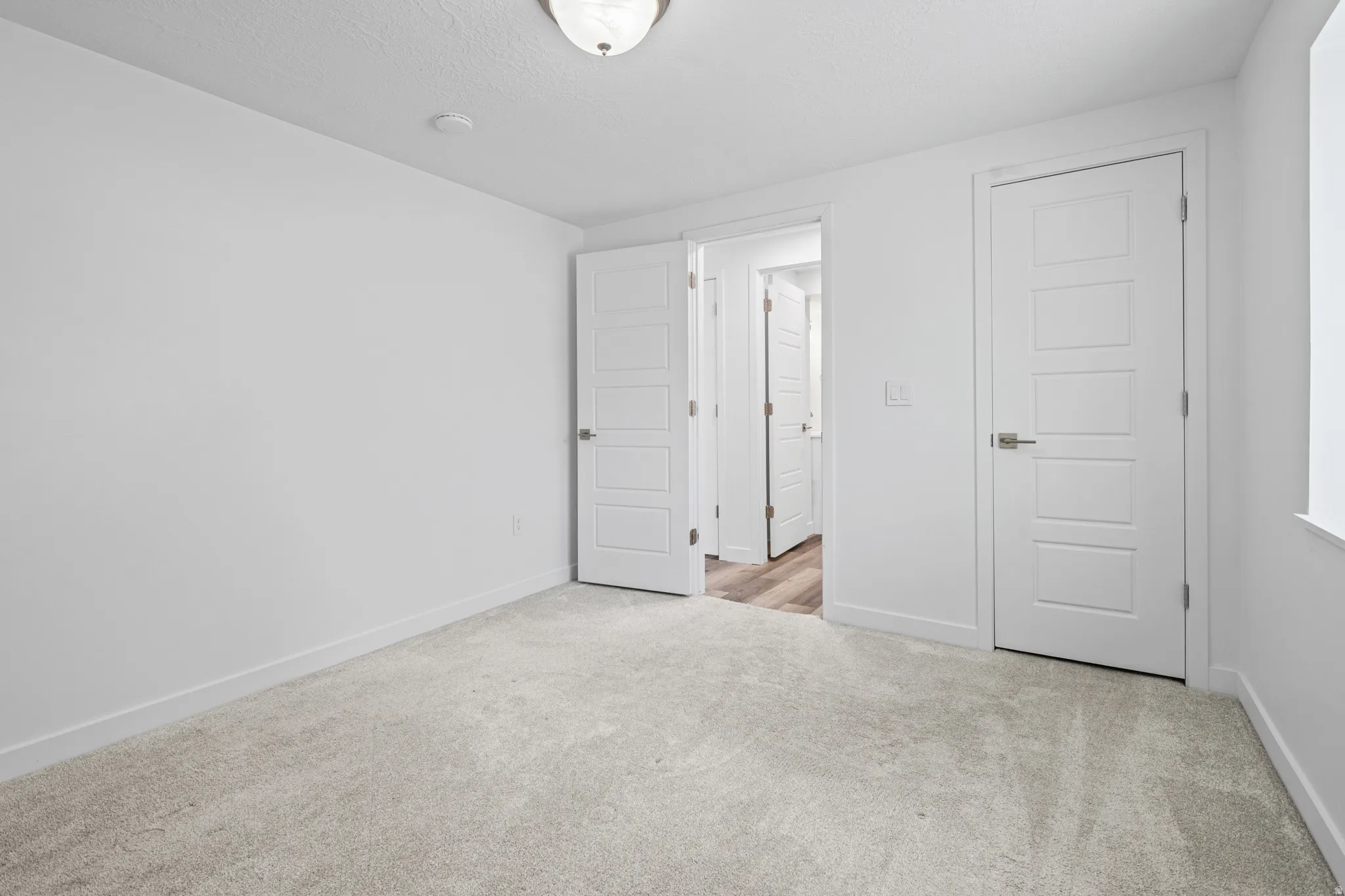 Carpeted interior space featuring white walls and trim