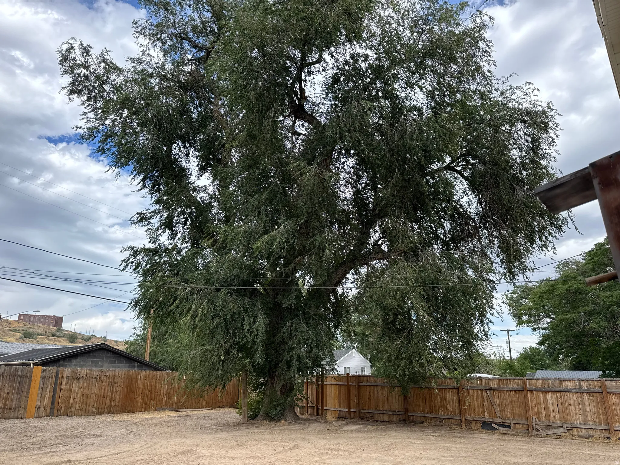 Expansive outdoor area featuring a large, mature tree and a perimeter wood privacy fence