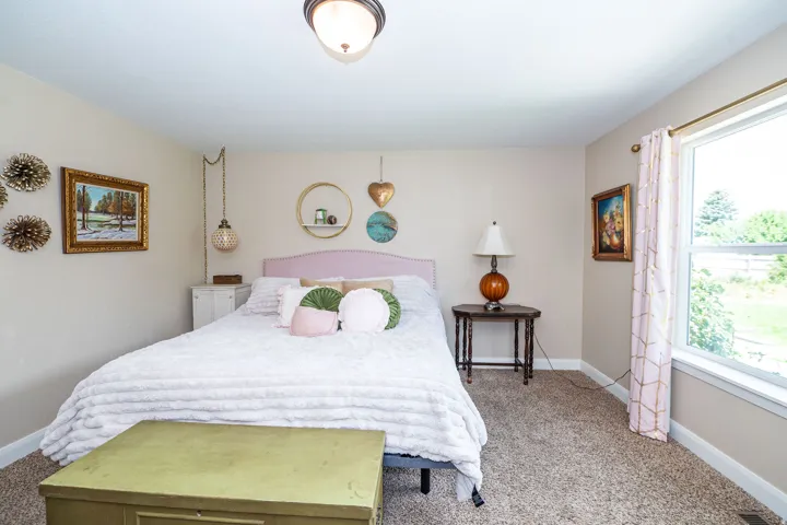 Carpeted room featuring a double-pane window, flush-mount ceiling light, and light-toned wall paint