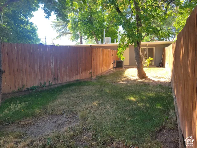 Another view of the back yard.