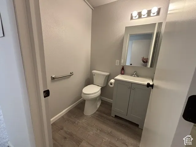 Wood-finish flooring, light grey vanity, wall-mounted vanity light, toilet with grab bar, and a rectangular mirror
