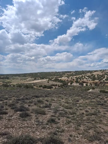 Expansive land featuring natural terrain with scattered low-lying vegetation