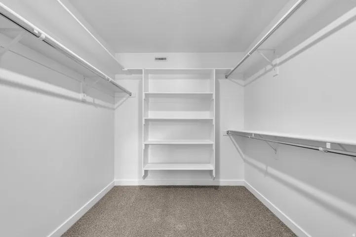 Carpeted closet featuring white shelving and hanging rods