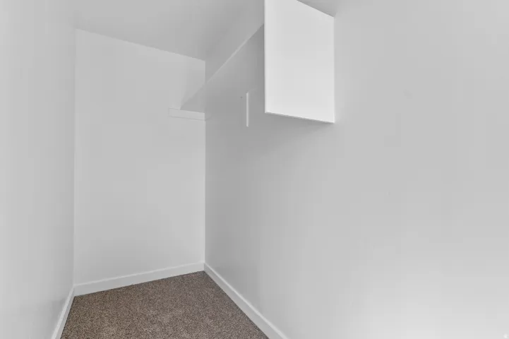 Dedicated closet space featuring a built-in shelf, white walls, white baseboards, and carpet flooring