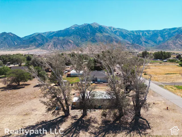 Expansive rural property featuring a mountain backdrop, mature trees, and an asphalt road bordering the property
