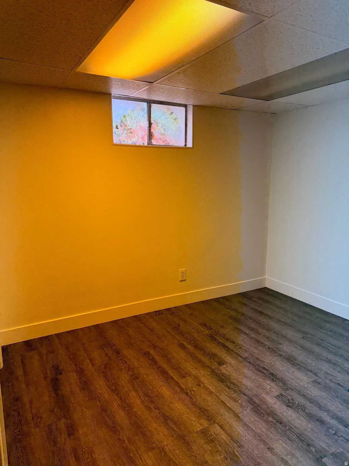Room featuring wood-finish flooring, drop ceiling with recessed lighting, and a single window