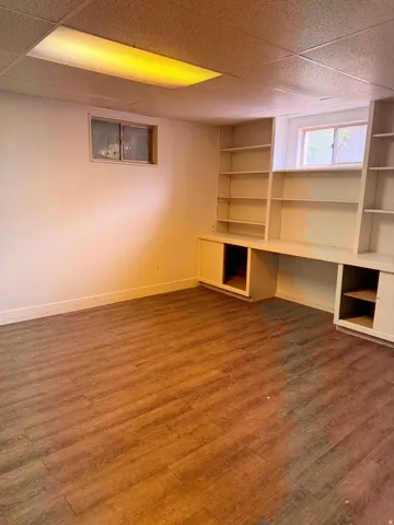 Built-in shelving and cabinetry with white finish, wood-finish flooring, and two windows