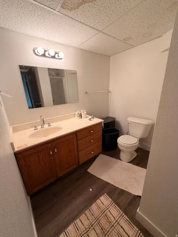 Wood-finish flooring bathroom featuring a vanity with wood cabinetry, an integrated sink, and a wall-mounted light fixture