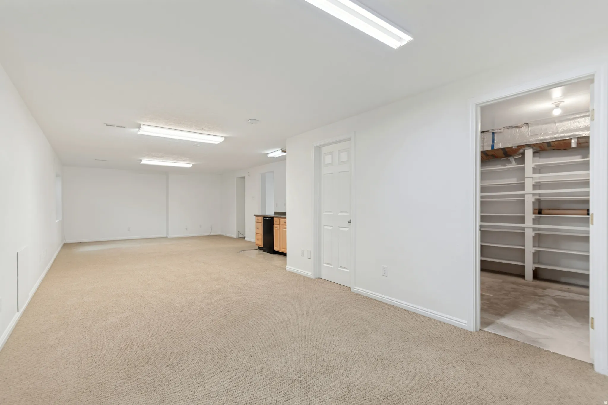 Spacious flex room with wet bar