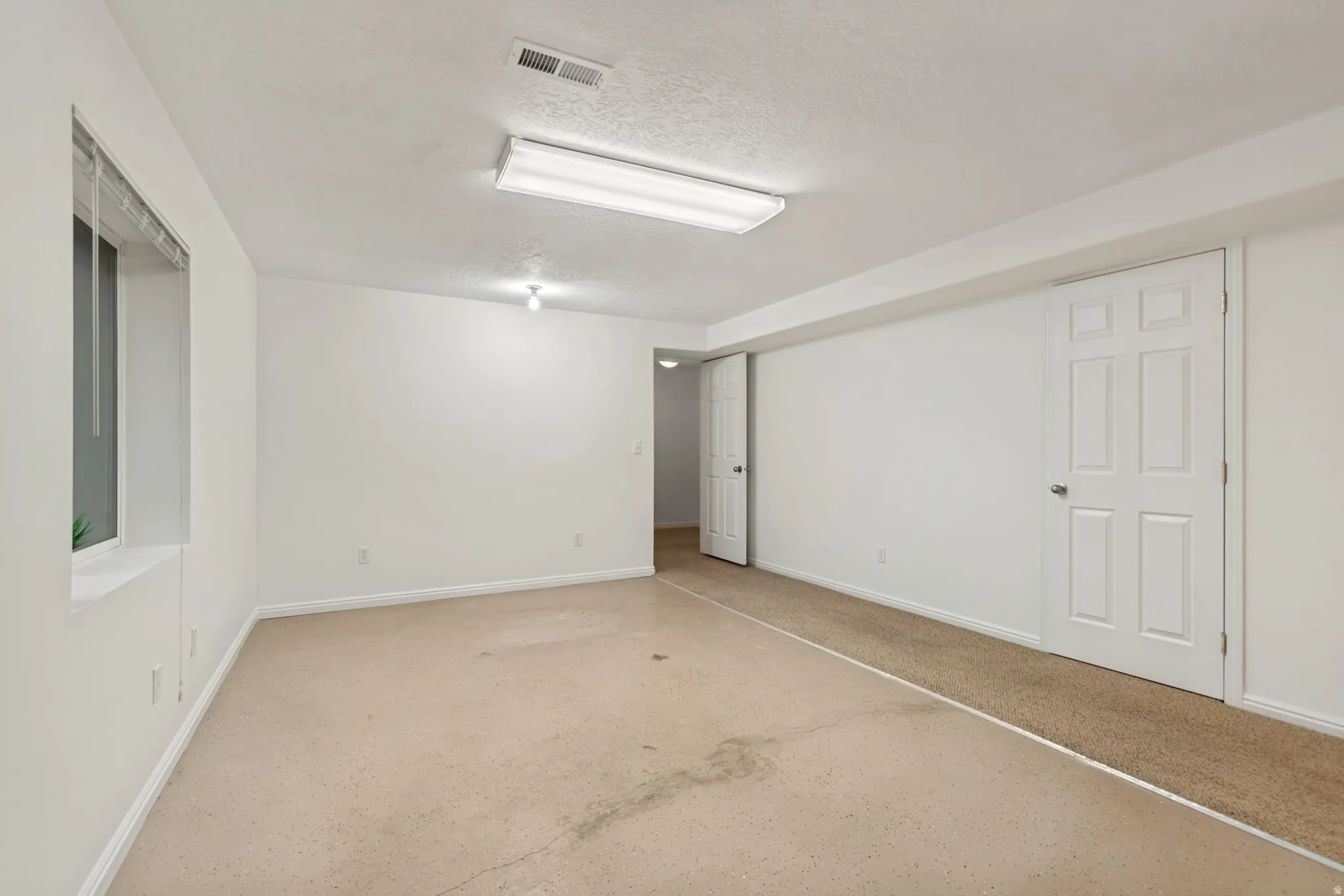 Spacious flex room