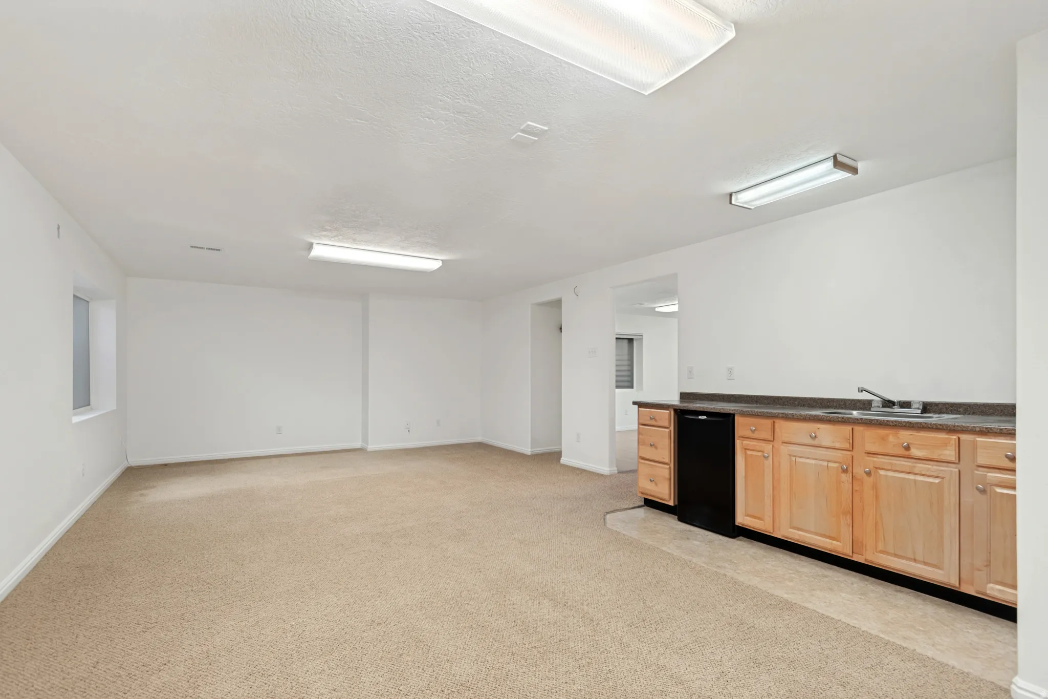 Spacious flex room with wet bar