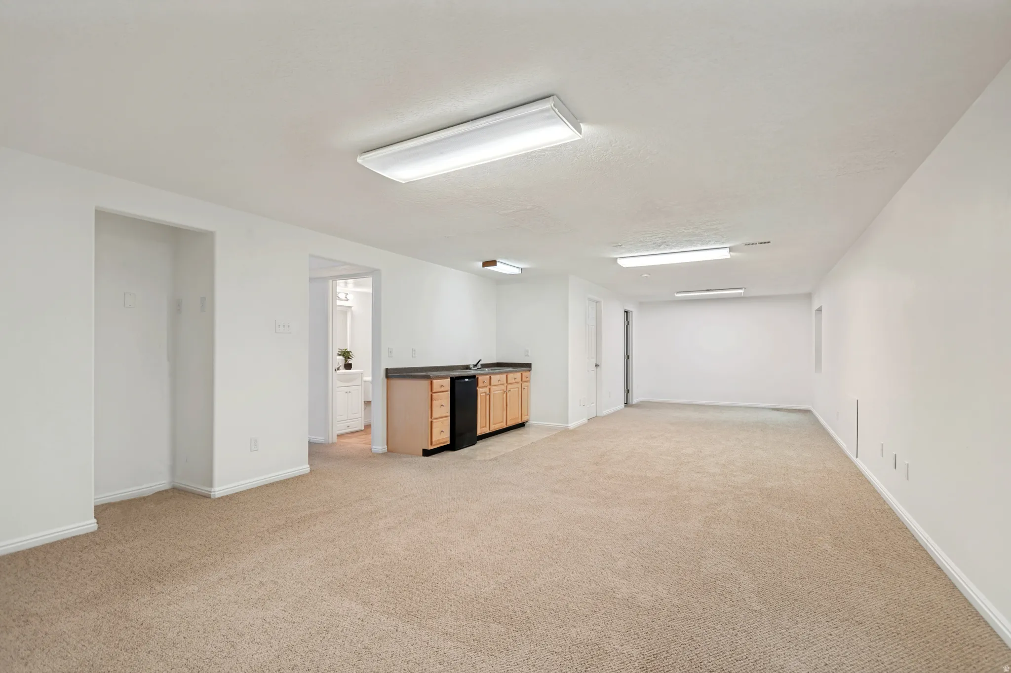 Spacious flex room with wet bar