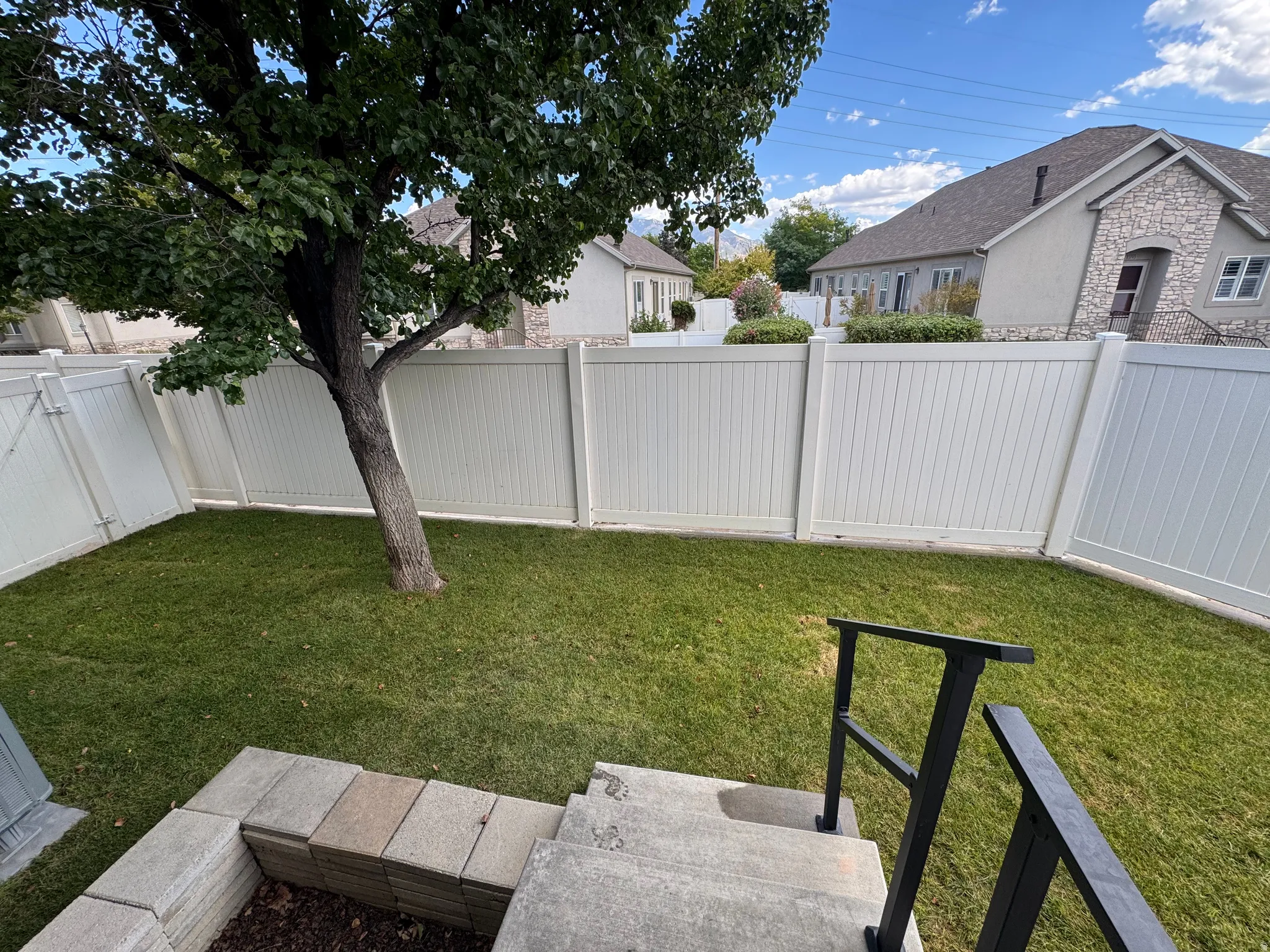 Enclosed backyard featuring a mature tree, privacy fencing, and a manicured lawn