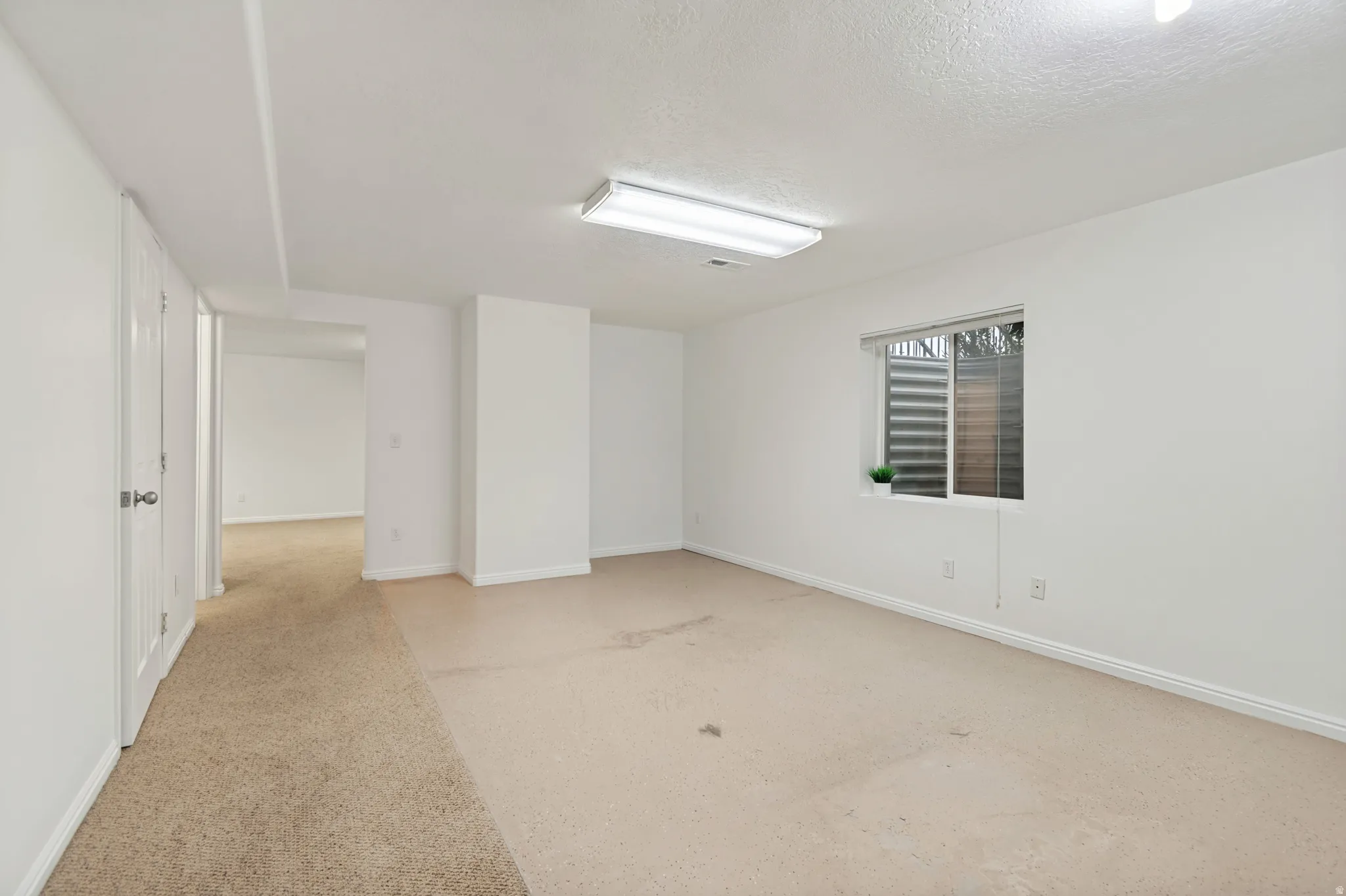 Spacious flex room