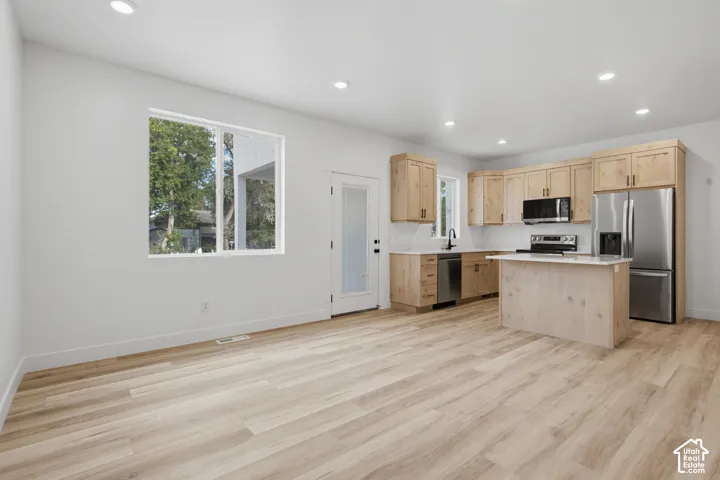 Wood-finish flooring, recessed lighting, expansive window, light wood cabinetry, and stainless steel appliances