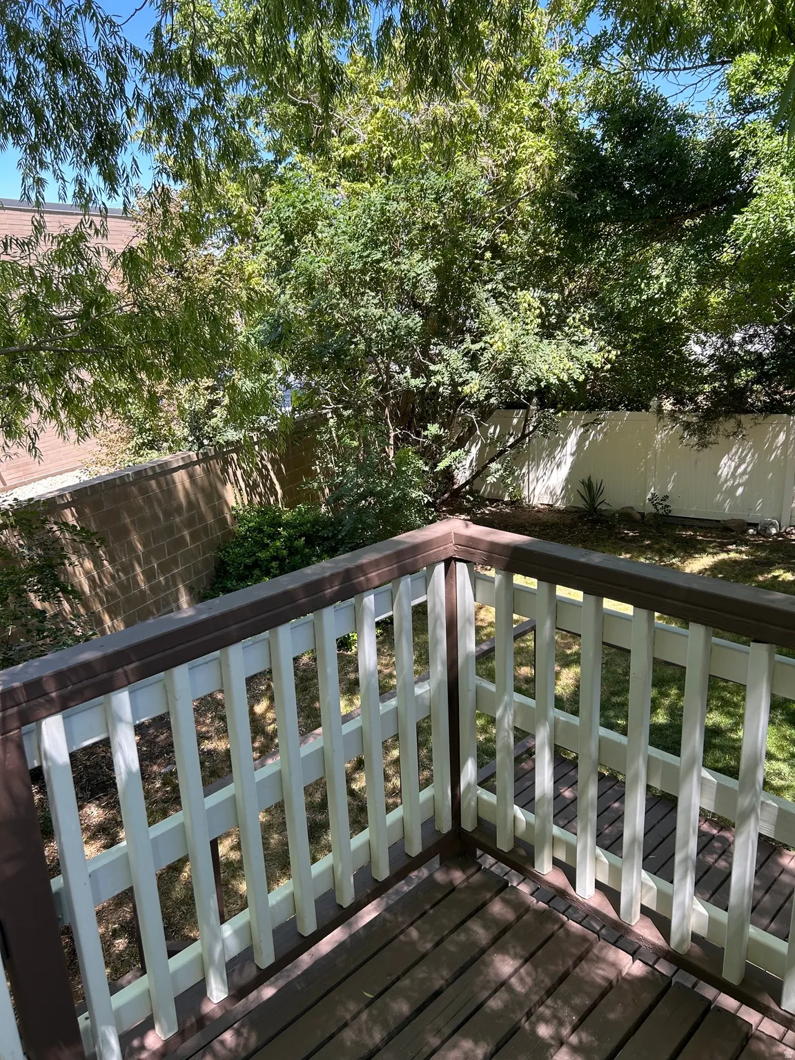 yard with mature trees