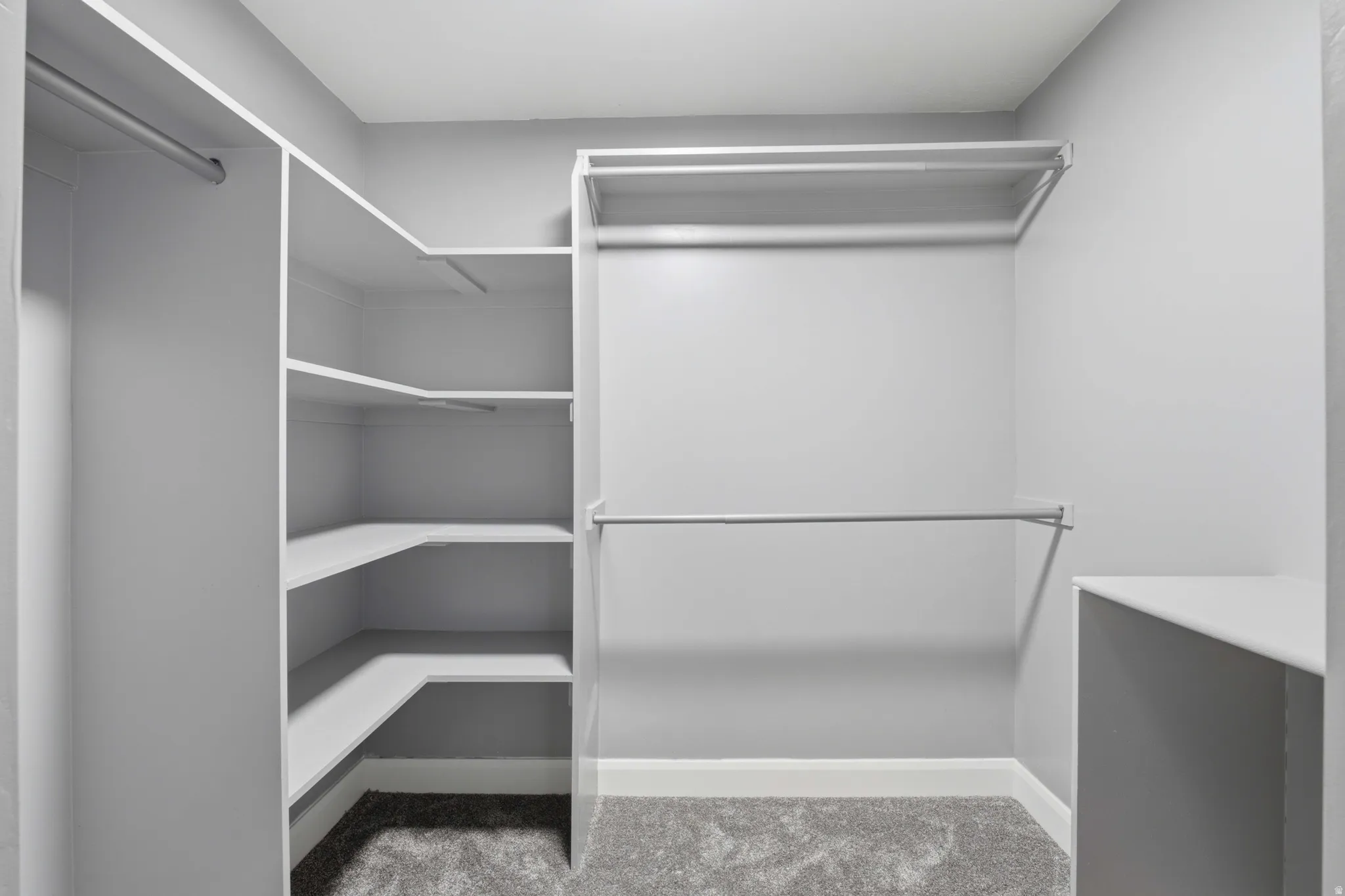 Walk-in closet featuring built-in shelving, multiple hanging rods, and gray carpet flooring