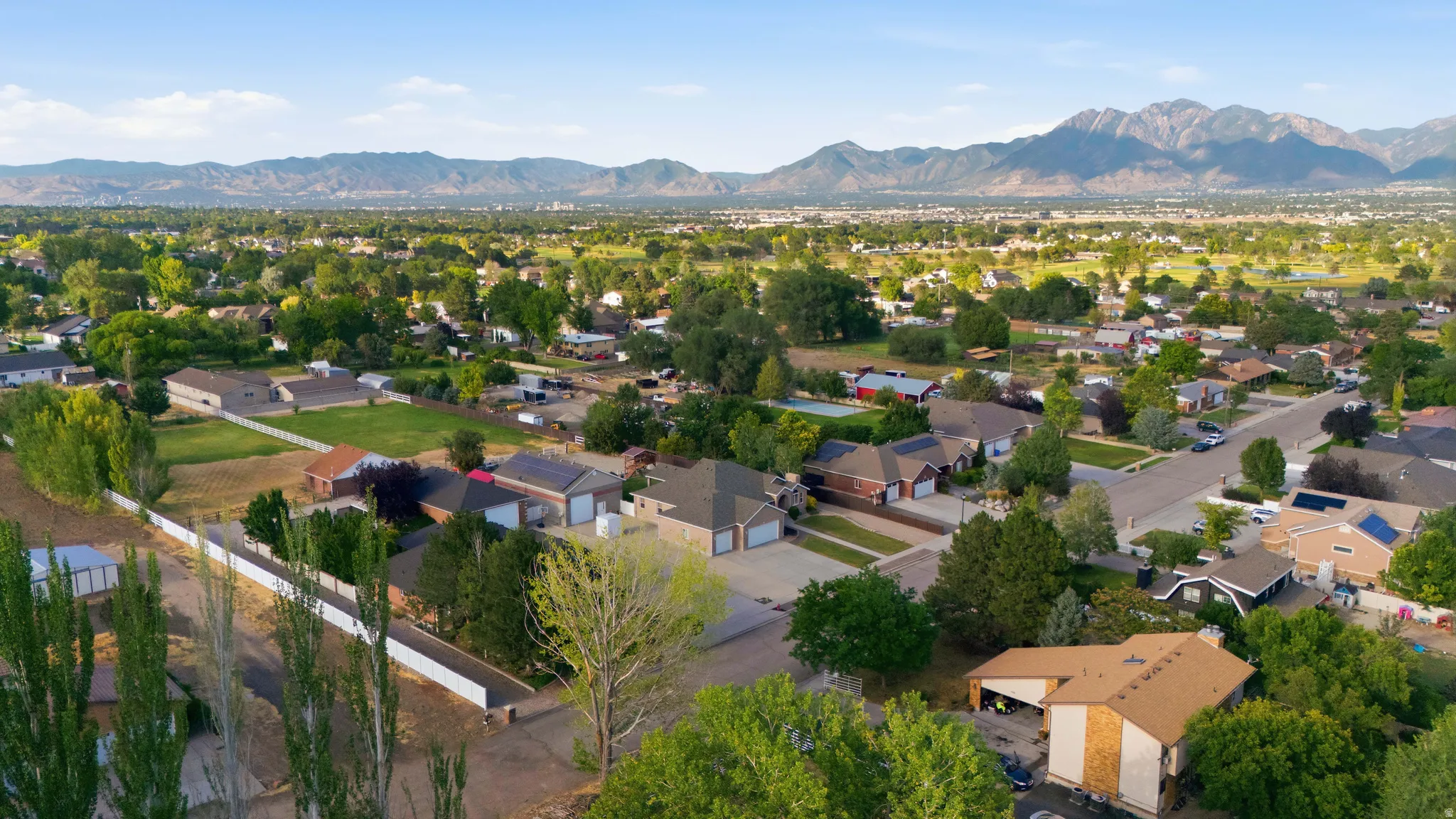 Expansive neighborhood vista with mature trees and mountain scenery
