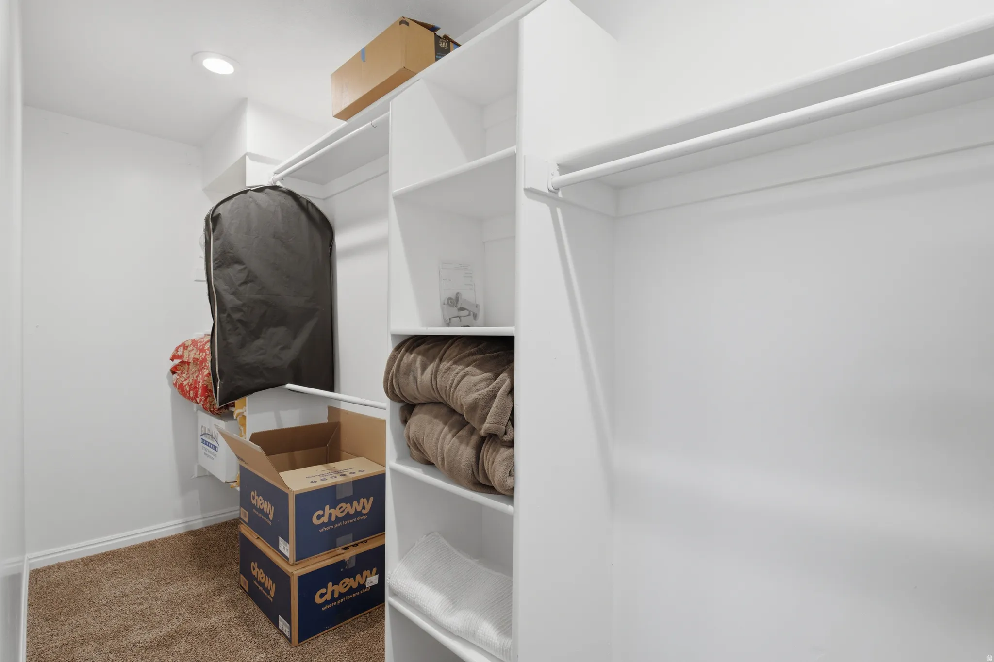 Walk-in closet featuring built-in white shelving, integrated hanging rods, recessed lighting, and carpeted flooring