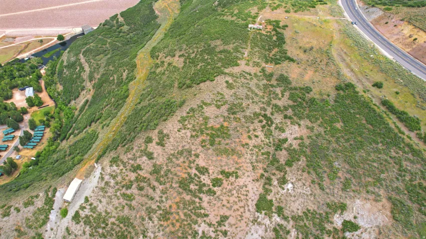 Expansive hillside parcel featuring natural vegetation and proximity to a paved road