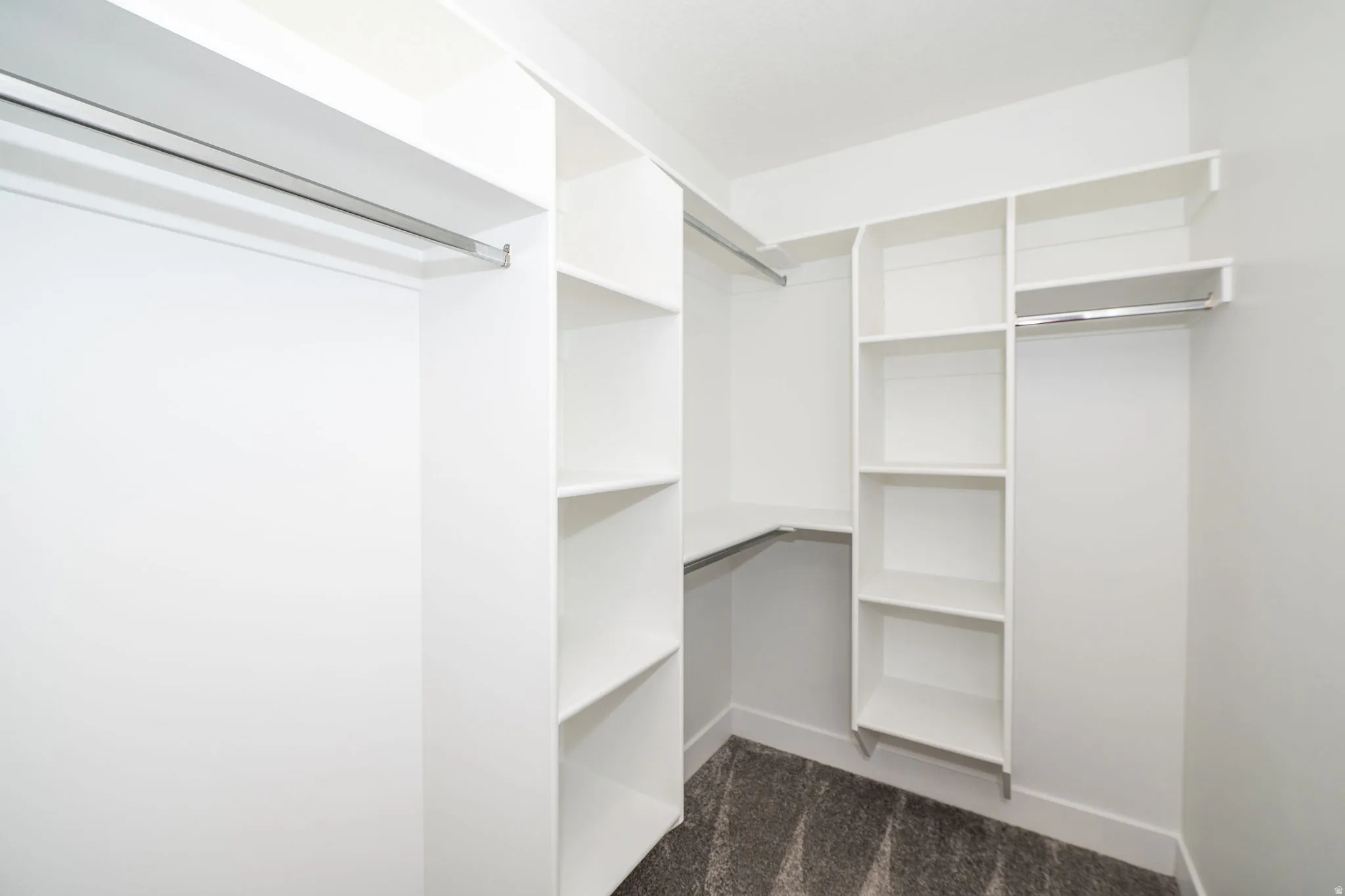 Walk-in closet featuring white built-in shelving, multiple hanging rods, and dark patterned carpeting
