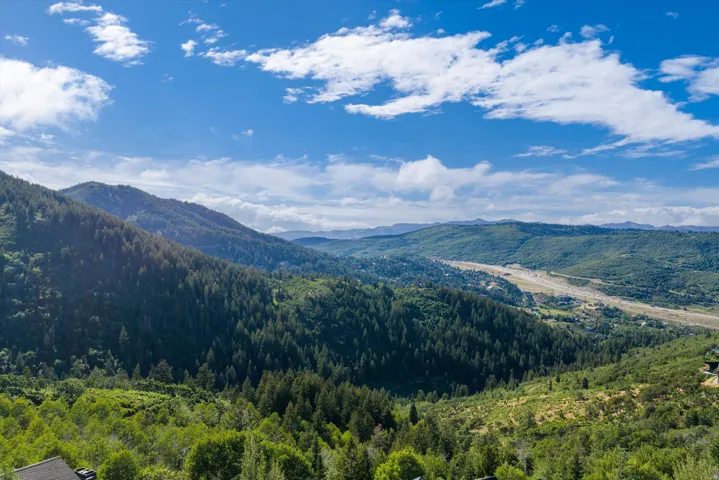 Expansive natural landscape featuring rolling hills, abundant mature trees, and distant open terrain