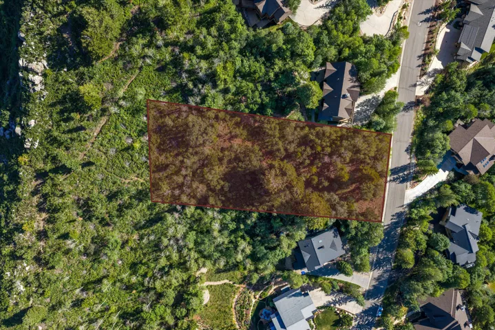 Expansive wooded lot with defined boundaries