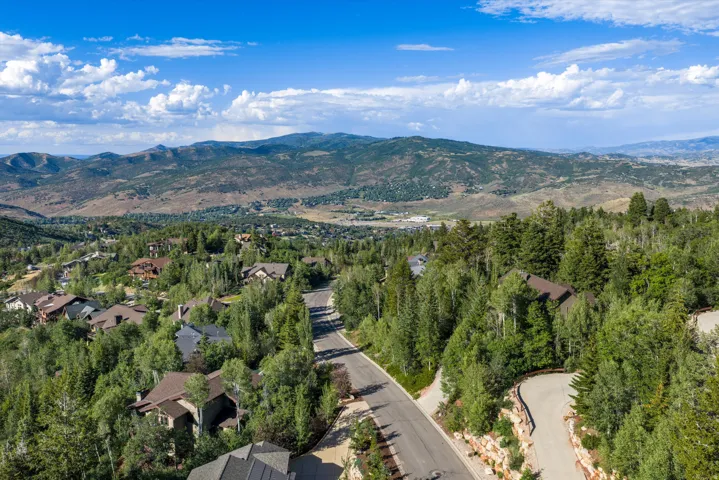 Hillside properties featuring mature trees and paved roadways