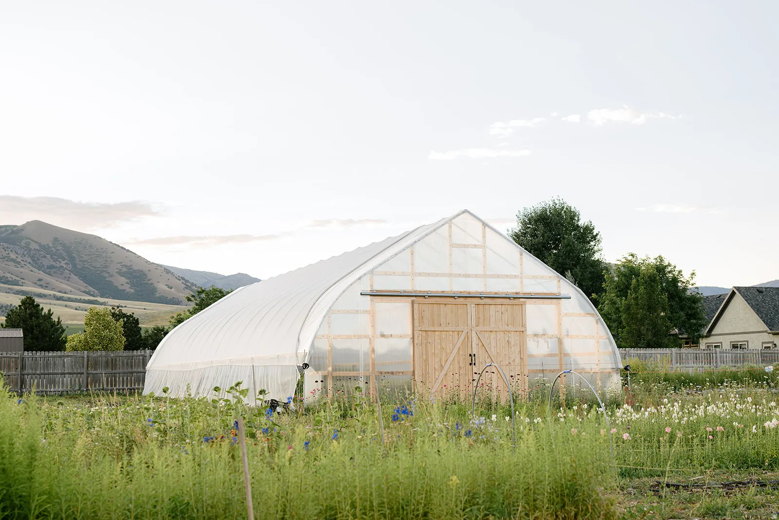 Expansive greenhouse structure featuring a clear arched roof and natural wood barn doors