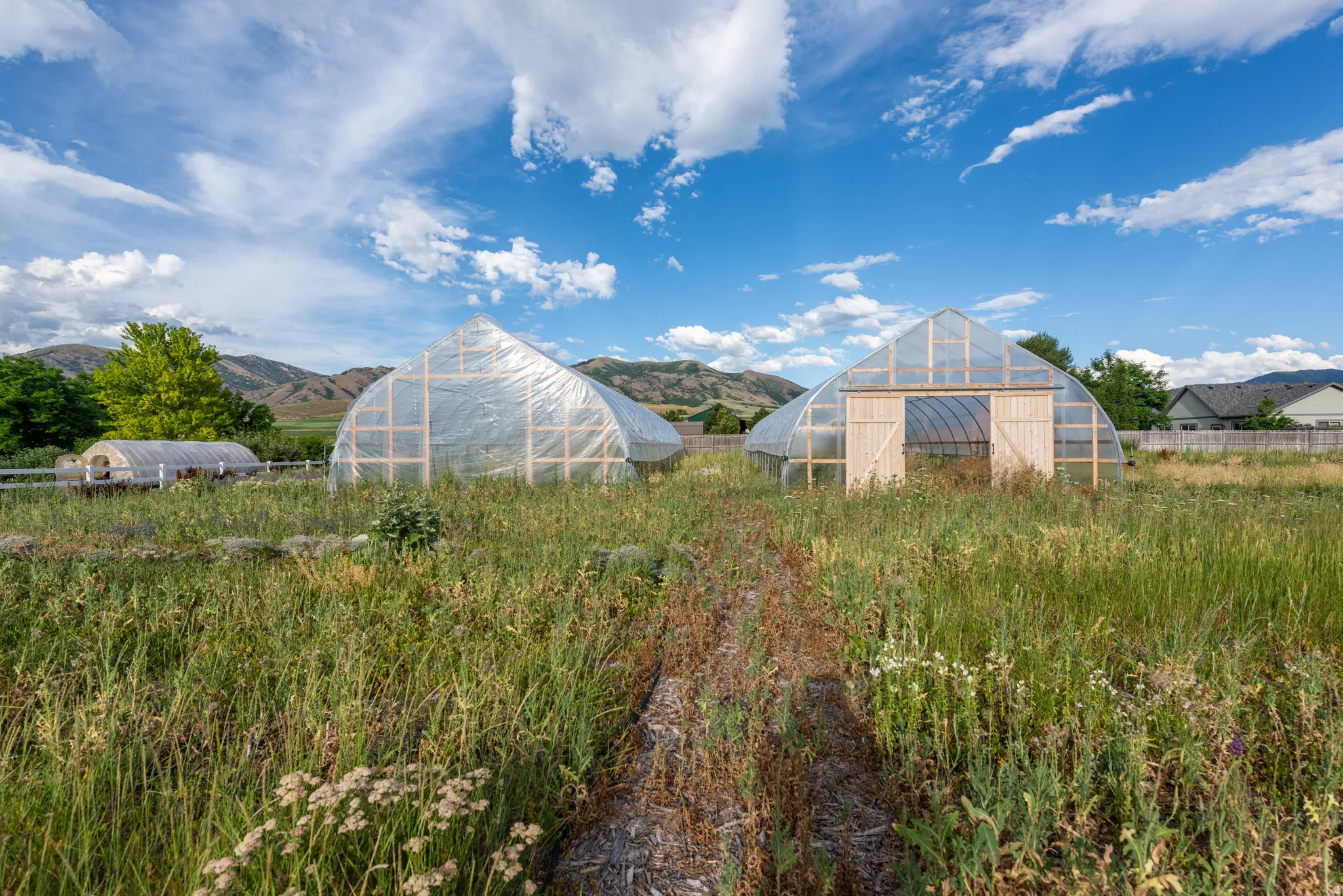 Two hoop-style greenhouses with clear coverings and wood-frame construction