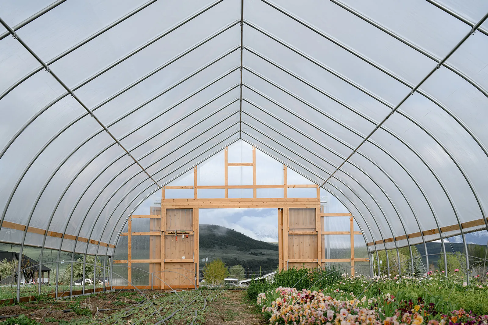 Expansive greenhouse structure featuring a vaulted translucent roof and a wood-frame entryway