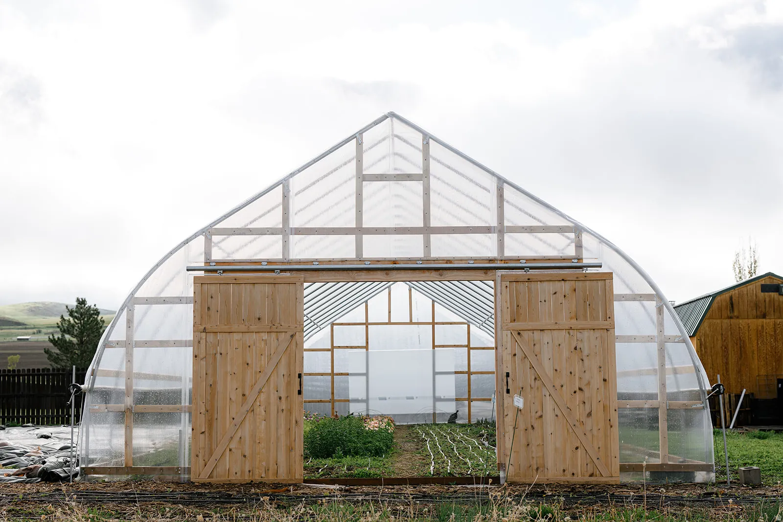 Arched greenhouse structure featuring a clear polycarbonate roof and walls, natural wood-finish sliding barn doors, and internal wood framing