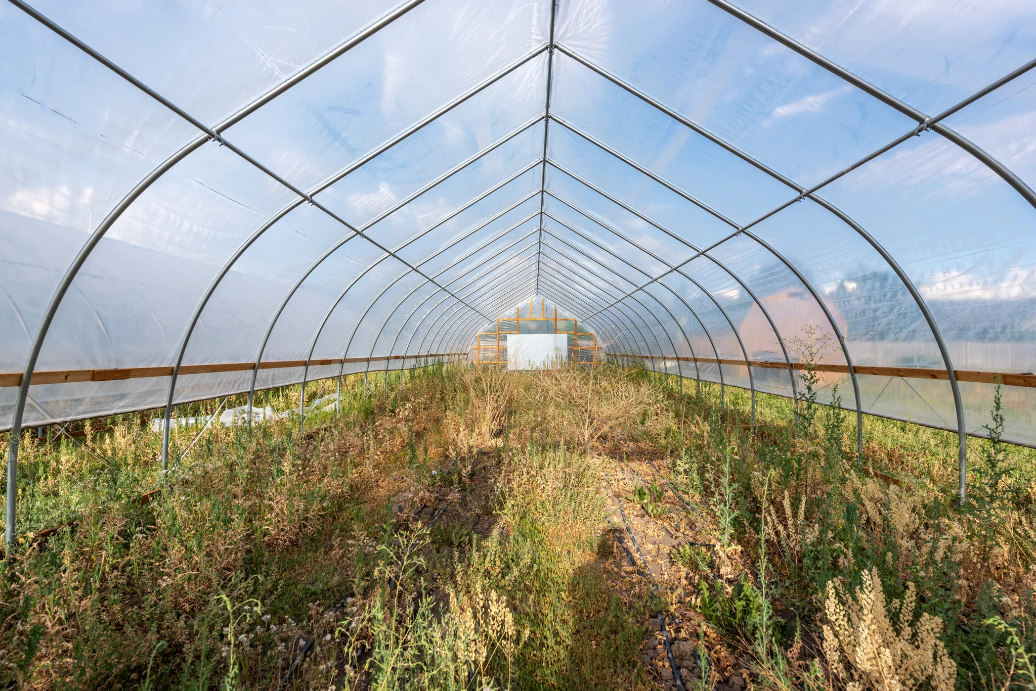 Large hoop house structure featuring a translucent roof and side panels, a sturdy metal frame, and a wooden baseboard