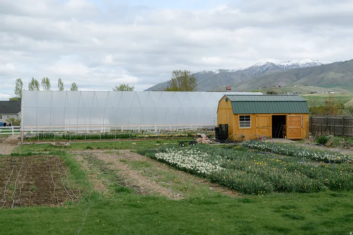 Expansive garden area featuring a large hoop house, a yellow storage shed with a green metal roof, established planting beds, and a mountain backdrop