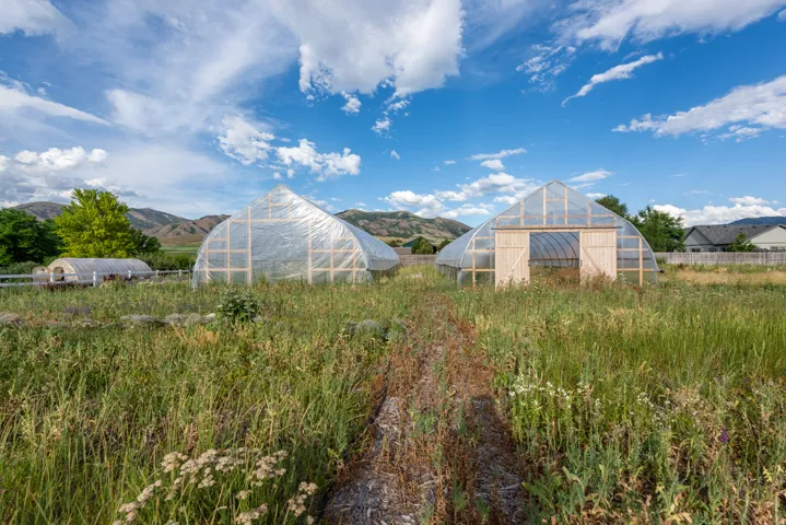 Two hoop-style greenhouses with clear coverings and wood-frame construction