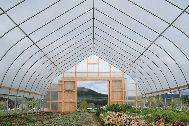 Expansive greenhouse structure featuring a vaulted translucent roof and a wood-frame entryway