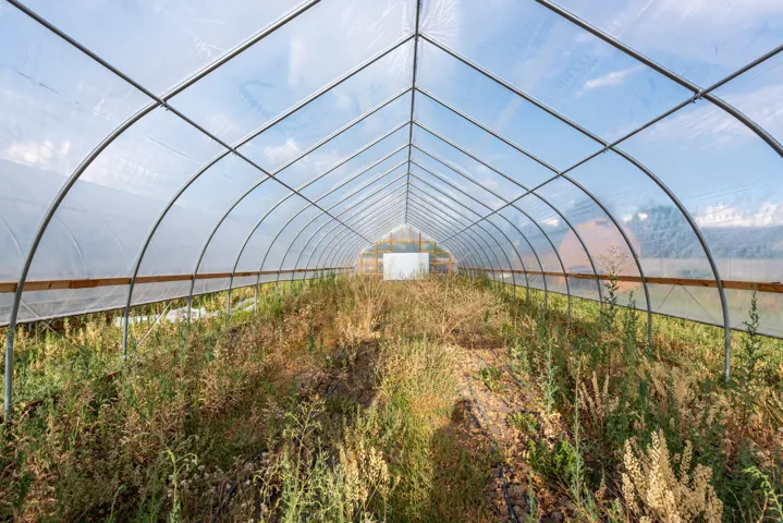 Large hoop house structure featuring a translucent roof and side panels, a sturdy metal frame, and a wooden baseboard