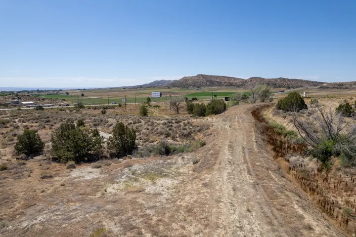 Expansive land parcel featuring a dirt path, natural dry brush, and scattered evergreen trees