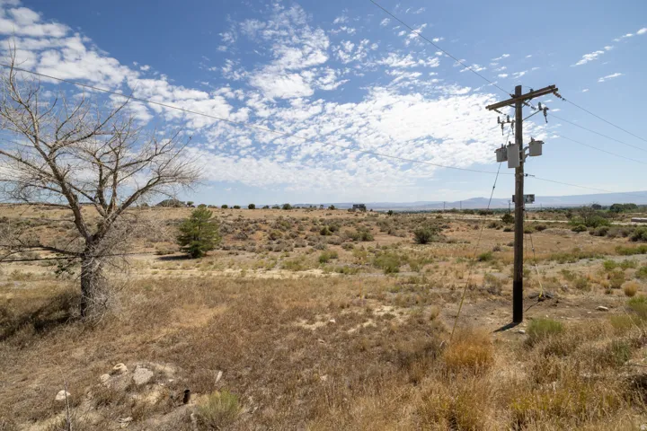 Expansive undeveloped land featuring a clear blue sky with scattered clouds, a mature deciduous tree, and a single evergreen tree