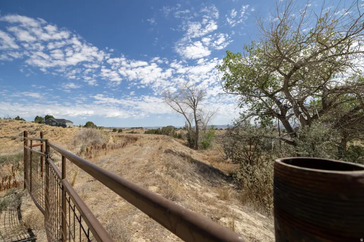 Expansive outdoor space featuring a brown metal railing, mature trees, and a distant residential structure