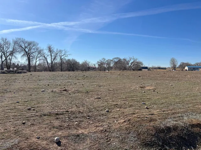 Expansive undeveloped land featuring a clear, open expanse of ground and visible mature deciduous trees along the property line
