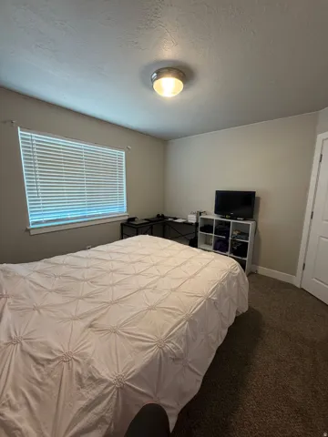 Carpeted interior room featuring a window with horizontal blinds, a flush-mount ceiling light fixture, and neutral painted walls