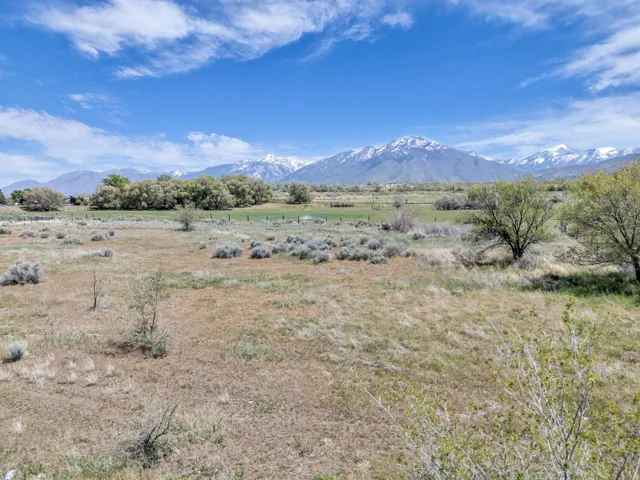Expansive open field with scattered shrubbery and distant snow-capped mountains