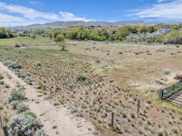 Expansive open land featuring diverse vegetation and a dirt path